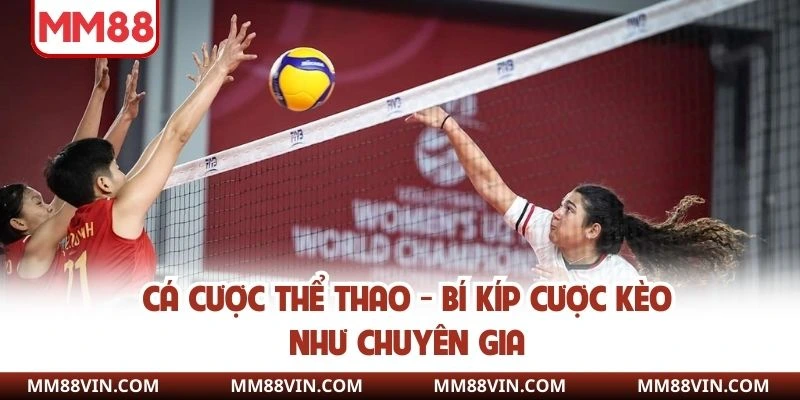 Cá Cược Thể Thao - Bí Kíp Cược Kèo Như Chuyên Gia 1 Cá cược thể thao