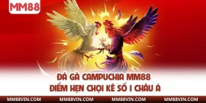 Đá gà campuchia