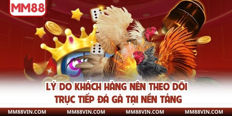 Trực Tiếp Đá Gà MM88 - Xem Giải Trí Với Chất Lượng Cao 3 Lý do khách hàng nên theo dõi trực tiếp đá gà tại nền tảng